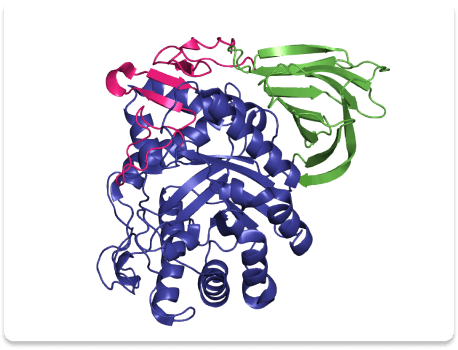 Therapeutic protein candidate selection